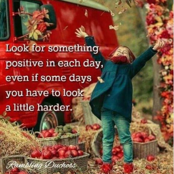 Meet your Posher, Rose - Picture 6 of 7